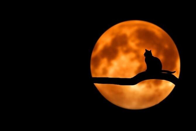 foto pixabay Bess Hamiti/ Luna Plină Balanță, 16 aprilie 2022