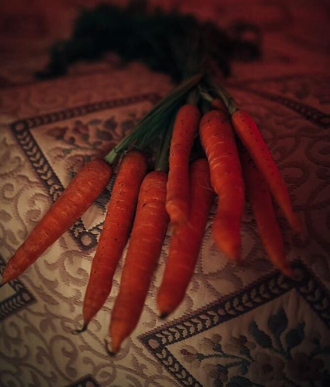 Ai niște morcovi în cămară.  Pregătește această tartă delicioasă, gata în 15 minute. Sursa - Pexels