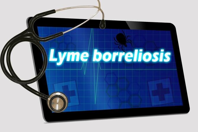 Ce este boala Lyme, afecțiunea de care suferă Justin Bieber. Poate crește riscul de tulburări mentale / Foto: Pixabay, de kalhh 