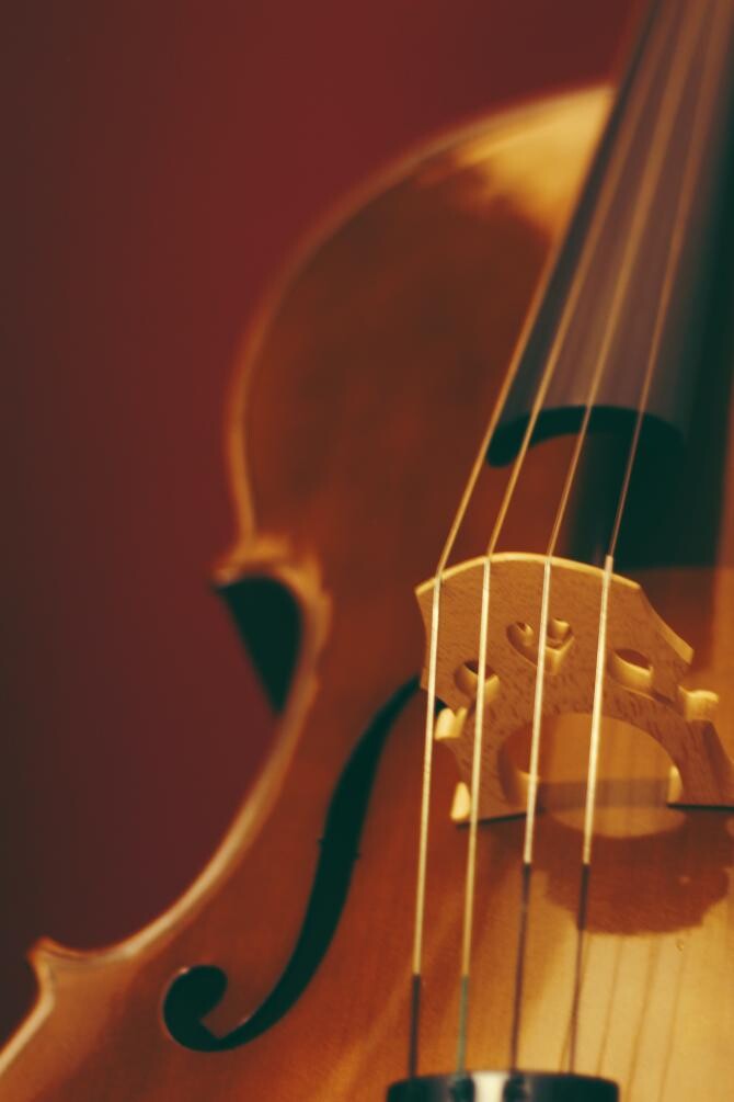 O rară vioară Stradivarius, vândută la licitaţie în New York pentru o sumă uriașă / Foto Tom Swinnen Pexels