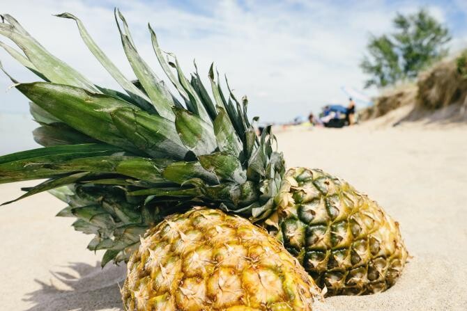 Fotografie de la Pineapple Supply Co./ PEXELS