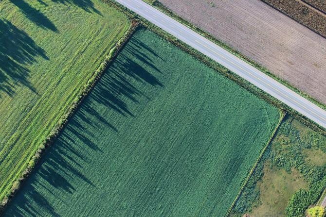 Grânarul Europei, anunț îngrijorător. Ucraina ar fi pierdut un sfert din terenurile sale cultivabile din cauza ocupației ruse / Foto: Pexels