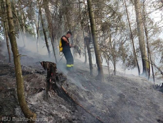 Incendiul de pădure de la Colibița s-a aprins de la o țigară / Foto: ISU Bistrița-Năsăud
