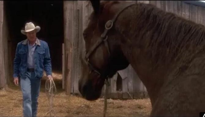 Autorul The Horse Whisperer, Nicholas Evans, a murit la 72 de ani / Foto: Captură video Youtube Bib48_MovieClips