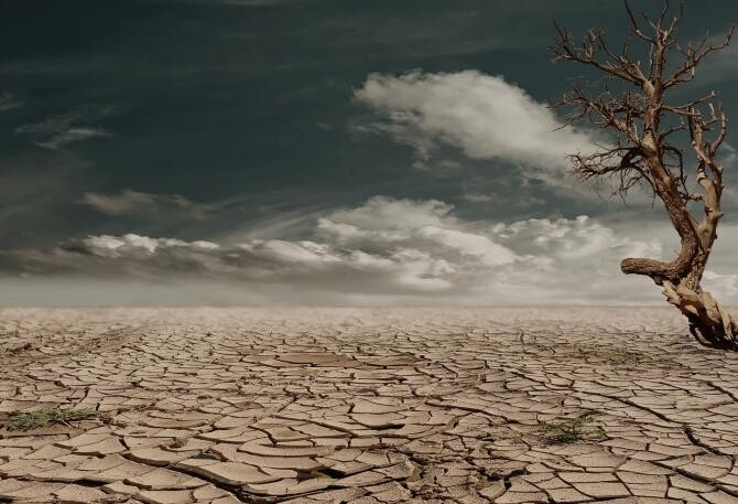Guvernul Ţărilor de Jos declară penurie de apă din cauza secetei - Foto Pexels