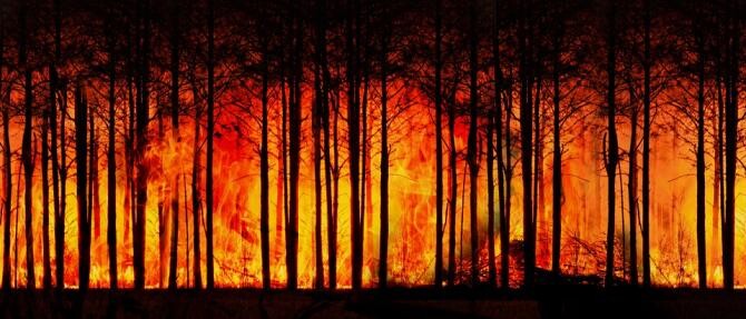 România sare în ajutorul Franței pentru stingerea incendiilor de pădure. MApN, precizări / Foto: Pixabay, de Geralt
