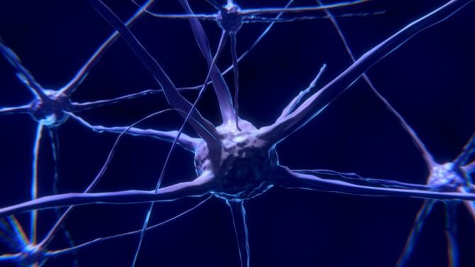 Celulele cerebrale care mor în boala Parkinson au fost descoperite de cercetători / Foto: Pixabay, de Colin Behrens 