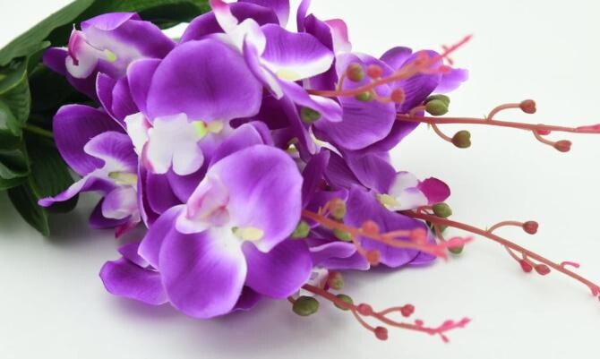 Condimentul care readuce la viață o orhidee - planta va înflori spectaculos și va înfrumuseța casa. Sursa - Pexels