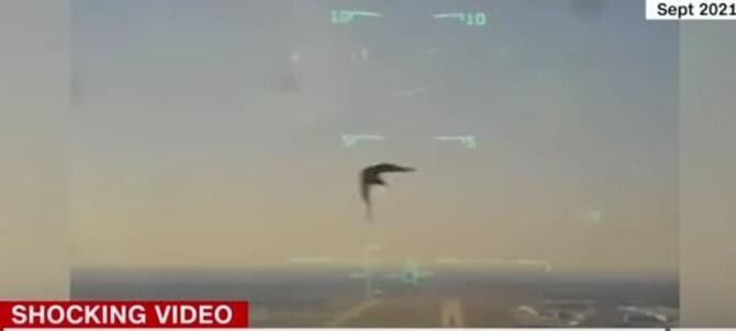 O pasăre a doborât un avion al marinei americane. Totul a fost filmat / Foto: Captură video CNN