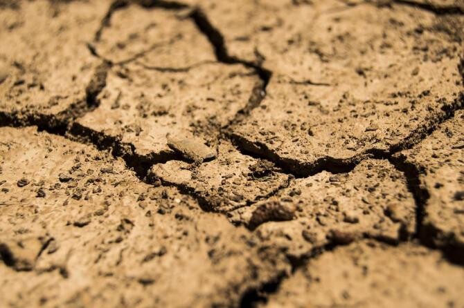 Pagube mari în România din cauza secetei. Ministerul Agriculturii a venit cu cifrele / Foto: Pixabay, de daeron