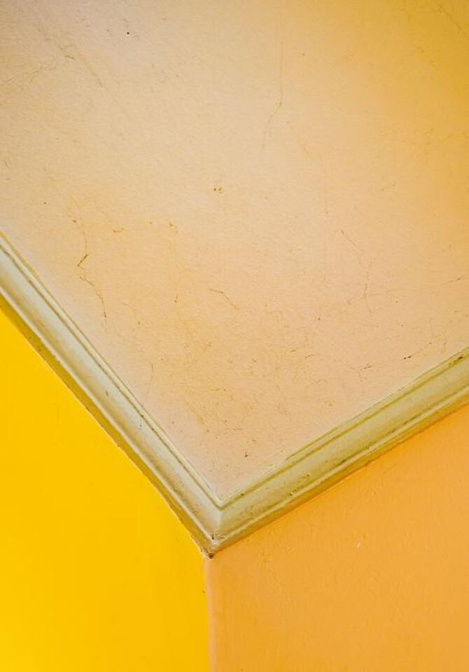 Scapă rapid de petele galbene de pe tavan. Iată ce trebuie să faci înainte de a aplica varul lavabil. Sursa - Pexels