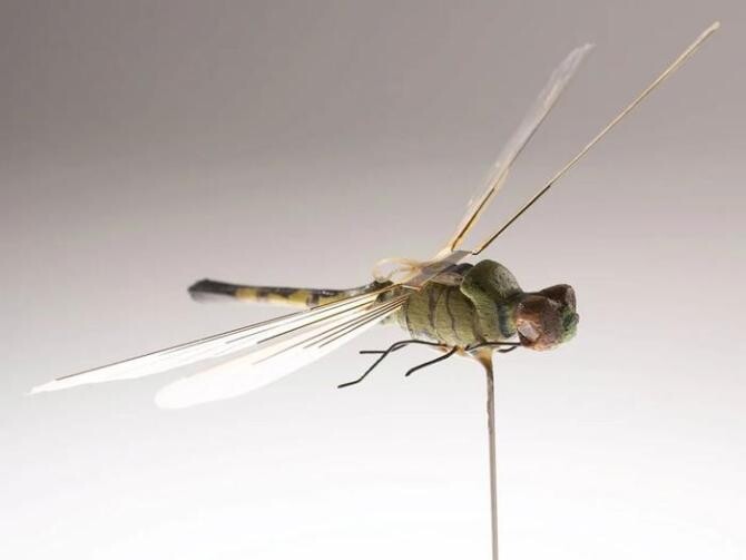 Insectocopterul / Foto: Muzeul CIA
