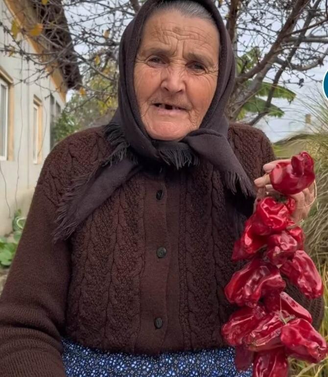 Ciorbă de raci, rețeta pas cu pas + video / Foto/ Captură video Tiktok Bunica Gherghina