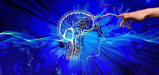 Structura creierului poate fi modificată de tratamentele pentru depresie / Foto: Pixabay, de Geralt