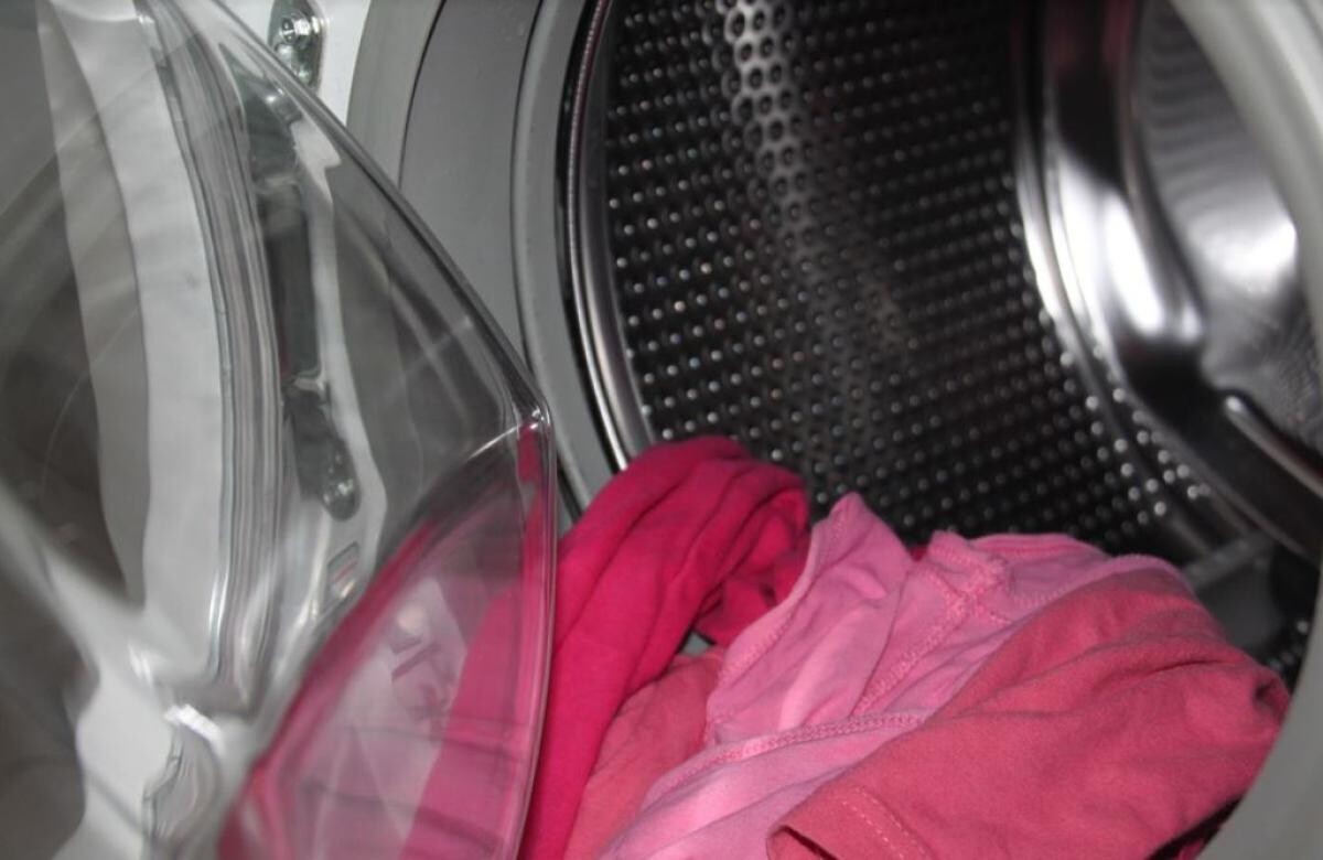 Vegetation protection charity Mașina de spălat miroase a umezeală și hainele rămân murdare? Iată ce  trebuie să faci urgent | DCNews