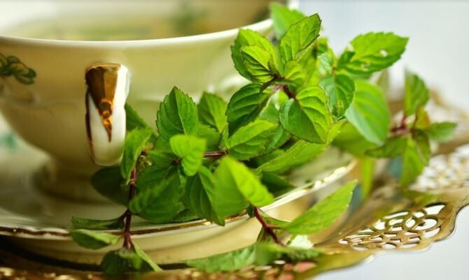Consumați, regulat, ceai de mentă, are zeci de beneficii pentru sănătate. Sursa - pixabay.com