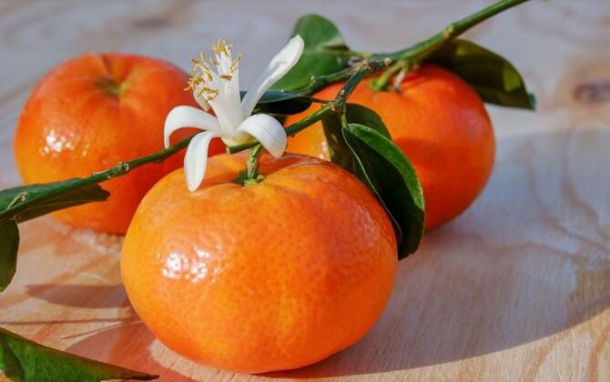 De ce sunt utile mandarinele și de ce este periculos să le consumi în cantități mari. Sursa - pixabay.com