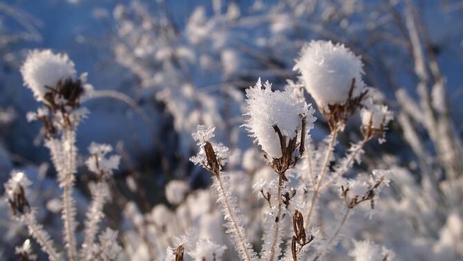 Țara care urmează să se confrunte cu cel mai rece Crăciun înregistrat vreodată. Vremea arctică, combinată cu "bomba ciclonică" / Foto: Pixabay, de FotoRieth