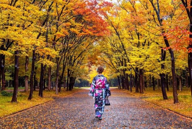 Secretele longevității japonezilor: 5 condiții pentru o viață fericită. Sursa - pixabay.com