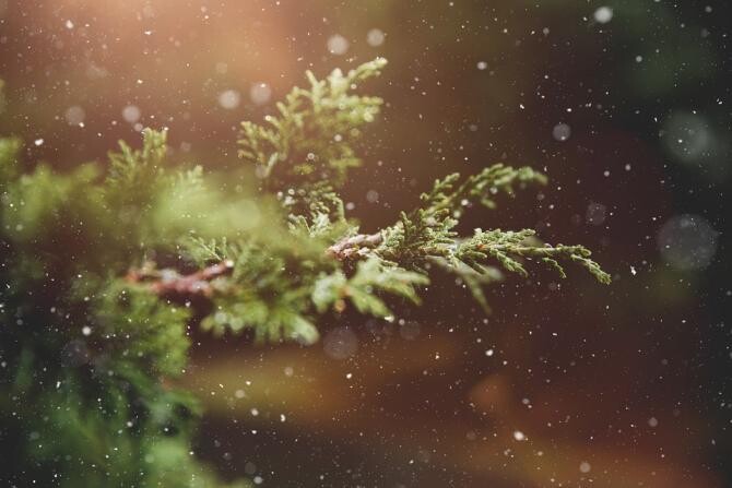 Vremea de Crăciun ca de Paște. Gabriela Dăncilă, ANM: Temperaturi maxime de 14 grade / Foto: Pixabay, de Petra