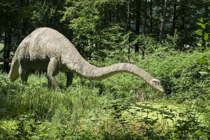 Sursa Pixabay / Descoperirea din India dezvăluie detalii despre viețile unora dintre cei mai mari dinozauri