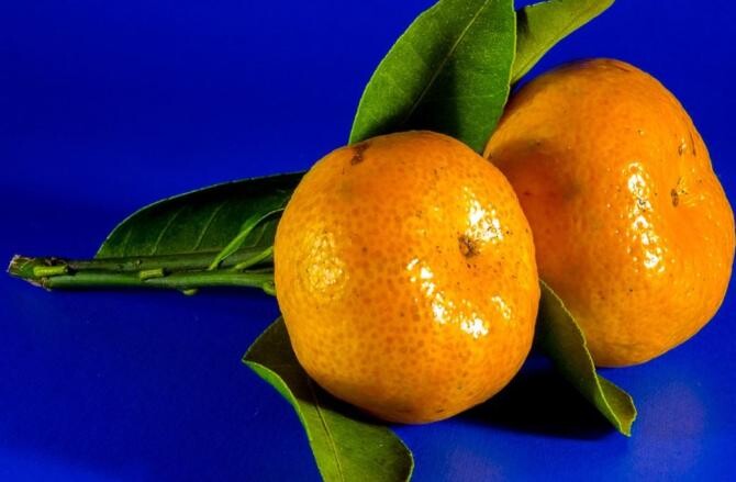 Mandarinele, benefice pentru piele și păr. Iată cum le poți folosi. Sursa - pixabay.com