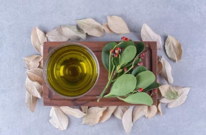 Proprietățile și contraindicațiile frunzei de dafin. Acest condiment aromat este interzis unor persoane. Sursa foto: freepik.com