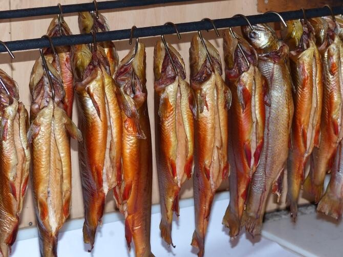 Delicatese din pește periculoase. Dacă vrei să încerci bucătăria locală în vacanțele tale, evită aceste preparate. Unele te pot chiar omorî / Foto: Pixabay, de Heinz Hummel
