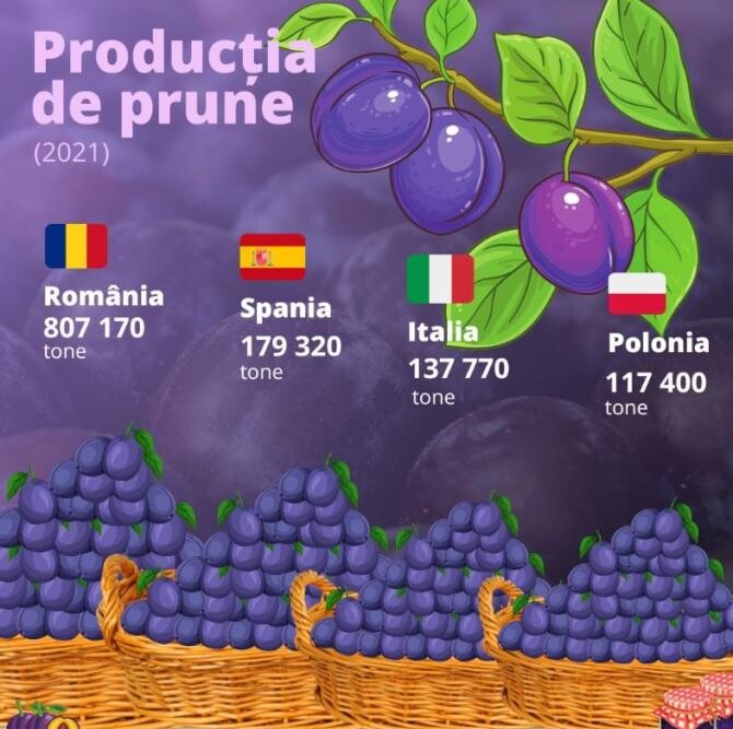 România, cel mai mare producător de prune din Uniunea Europeană 