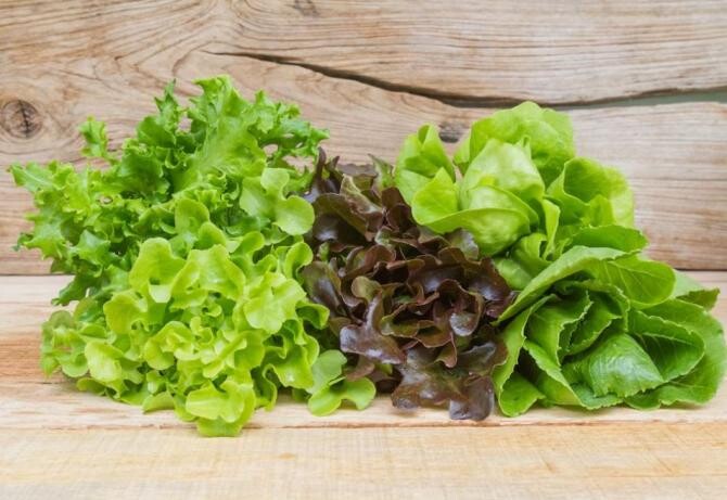 Cum să crești salată verde pe pervaz, sfaturi simple pentru grădinarii începători. Sursa foto: freepik.com