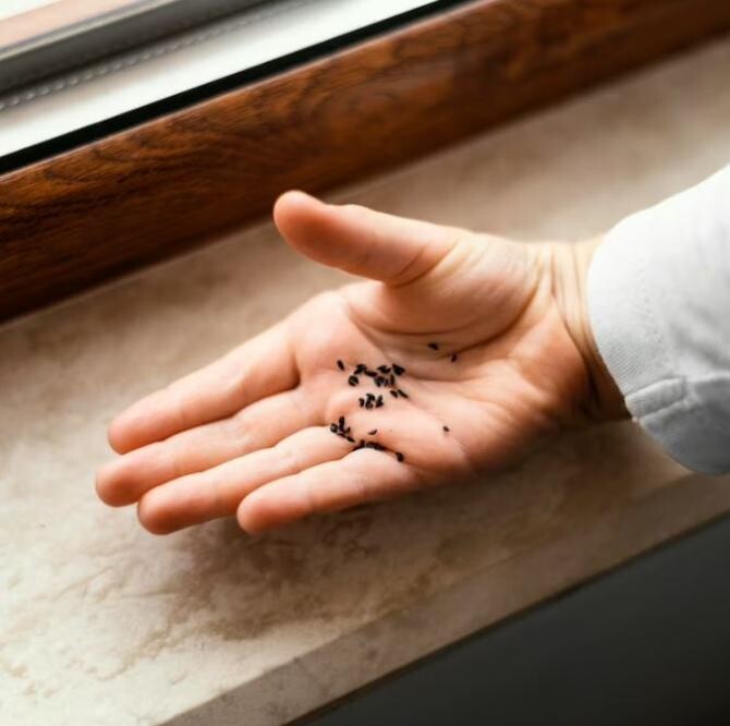 Scapă de furnici cu remediile bunicii, folosește două produse din cămară și vei uita de problemă. Sursa foto: freepik.com