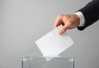 Alegeri 2024. Candidații pentru Primăria Timișoara: Cine sunt și ce au făcut