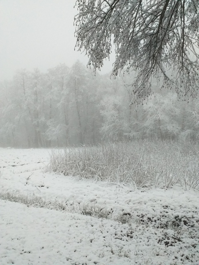 România, lovită de un nou ciclon polar. Elena Mateescu, ANM: Temperaturi de -15 grade / Foto: Pixabay
