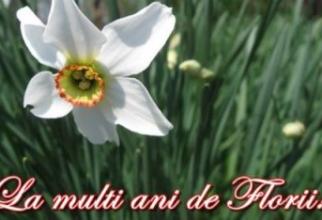 Aproape 1,8 milioane de români îşi sărbătoresc onomastica duminică, de Florii